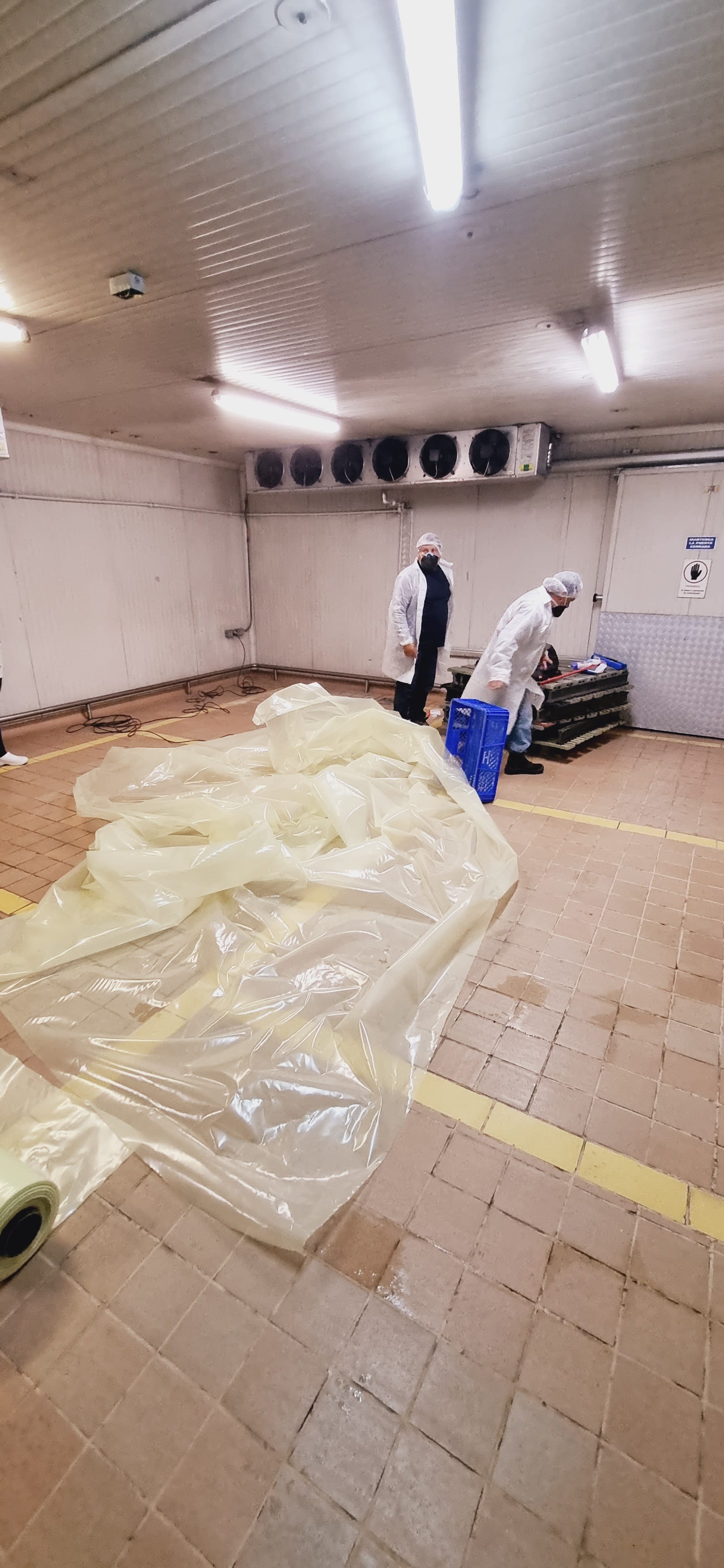 Mantenimiento instalaciones Crepes y Waffles — APLOSS Colombia